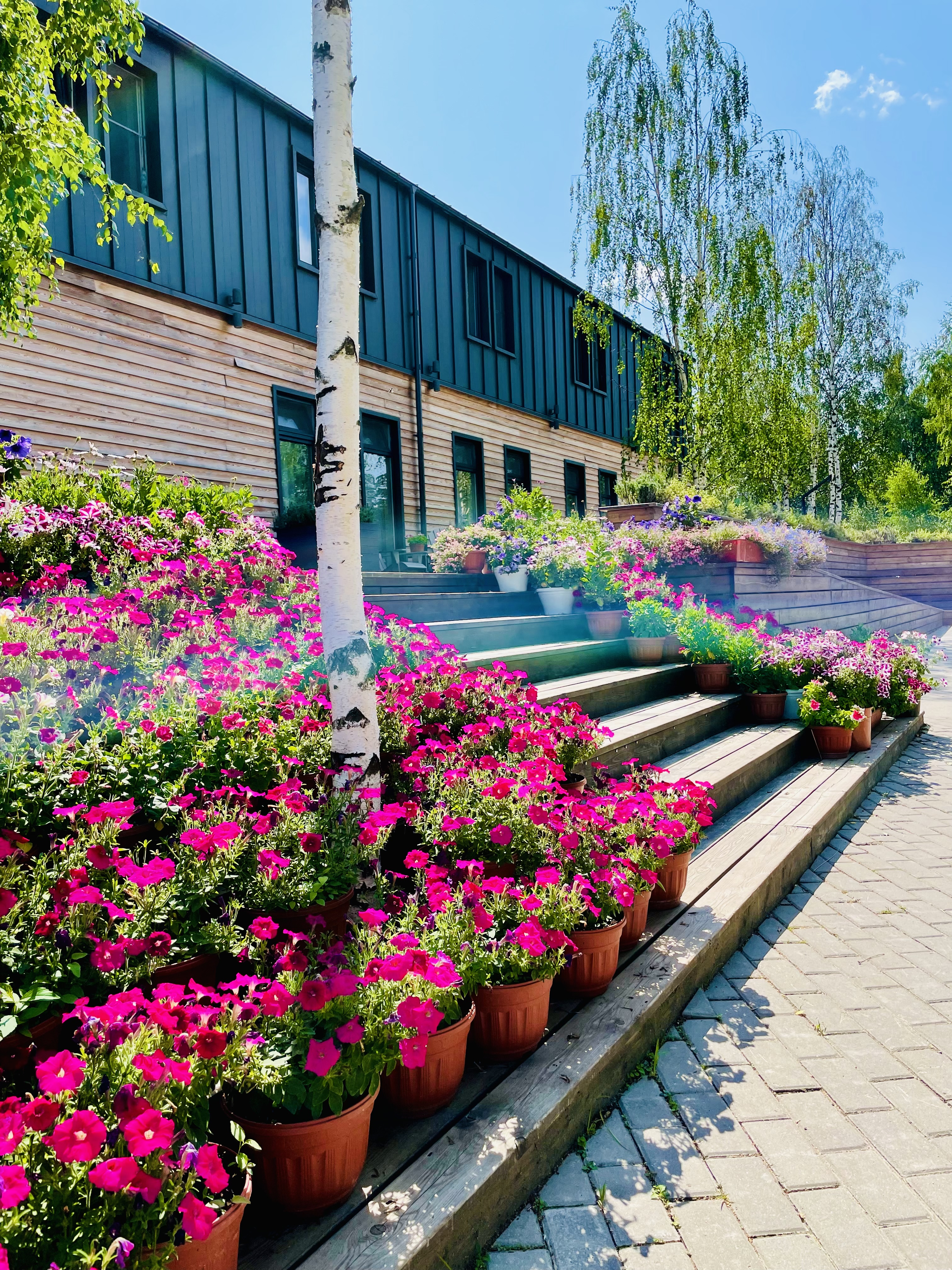 Фото Джао ДаЧа