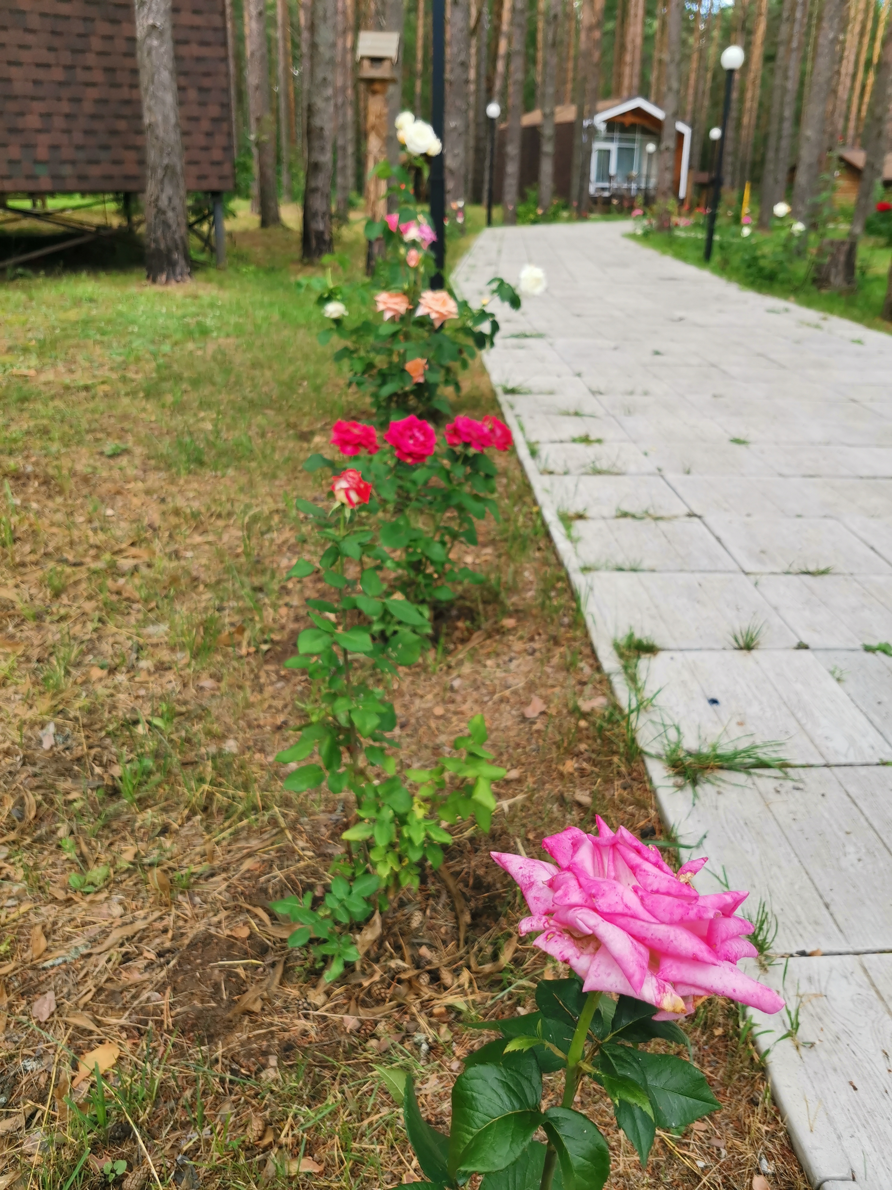 Фото Sherwood Park Hotel