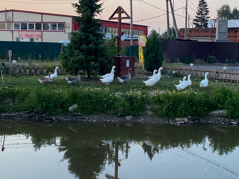 Фото Хуторок