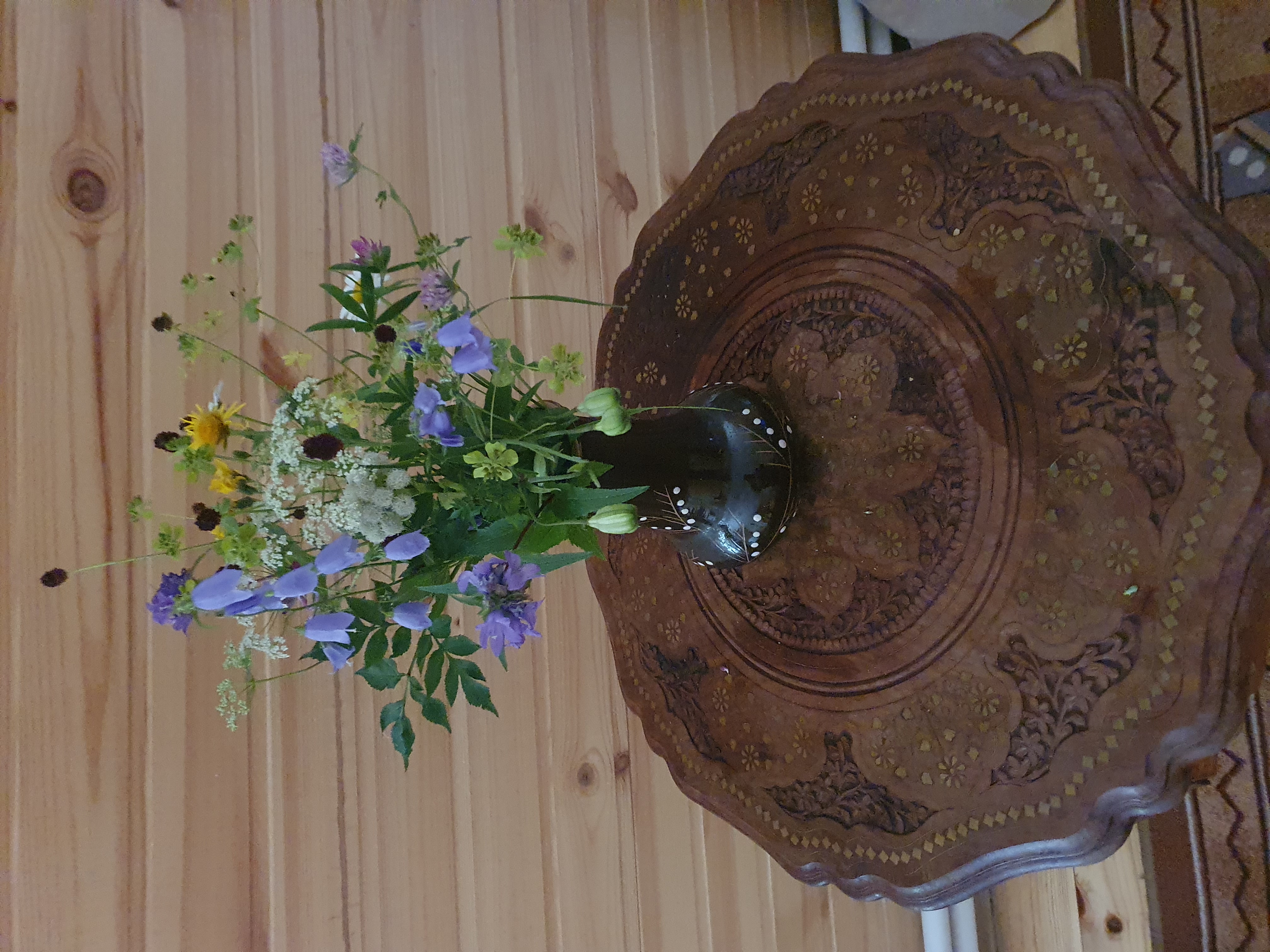 Фото Белая сова