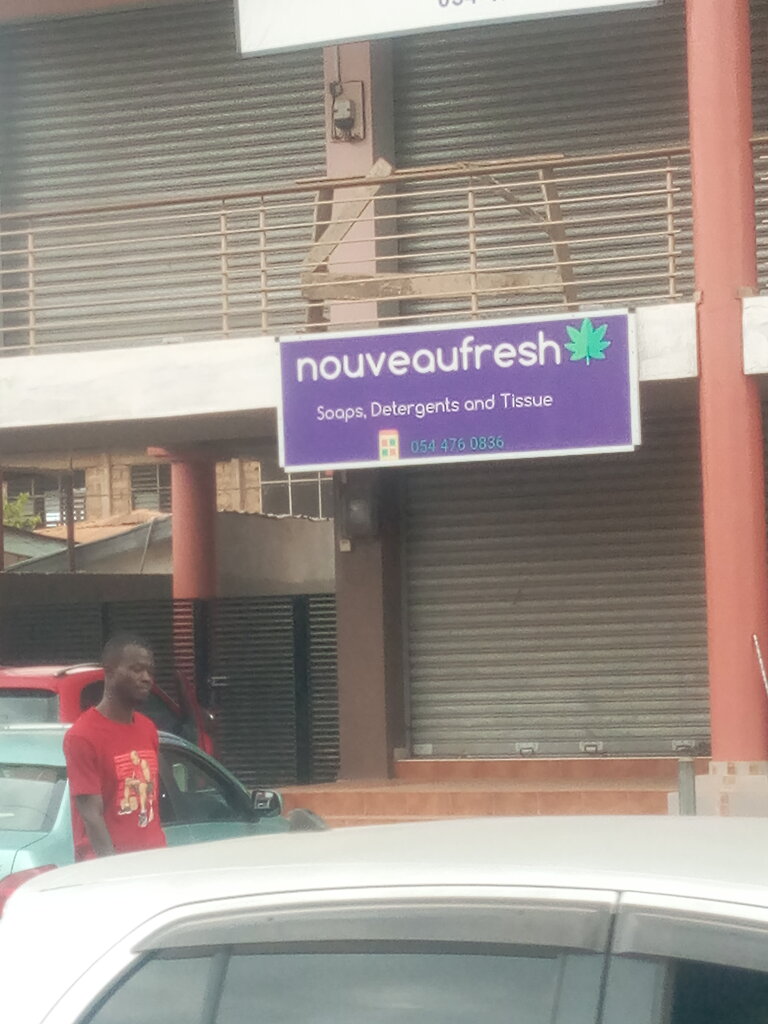 Household goods and chemicals shop Nouveaufresh, Earth, photo