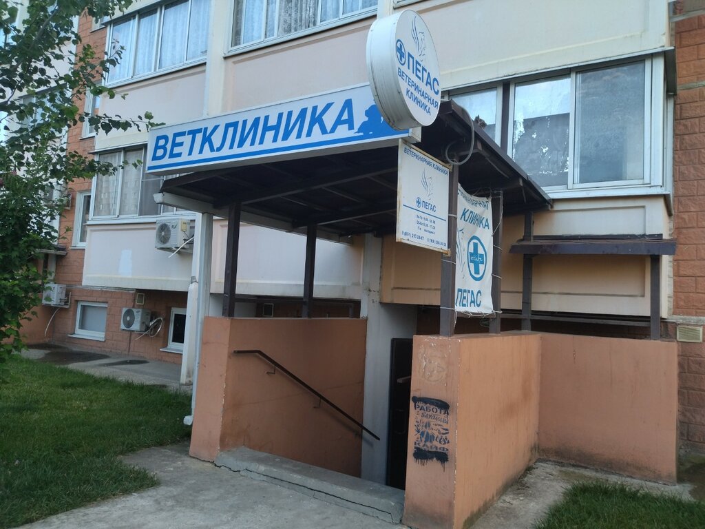 Ветеринарная клиника Пегас, Краснодар, фото