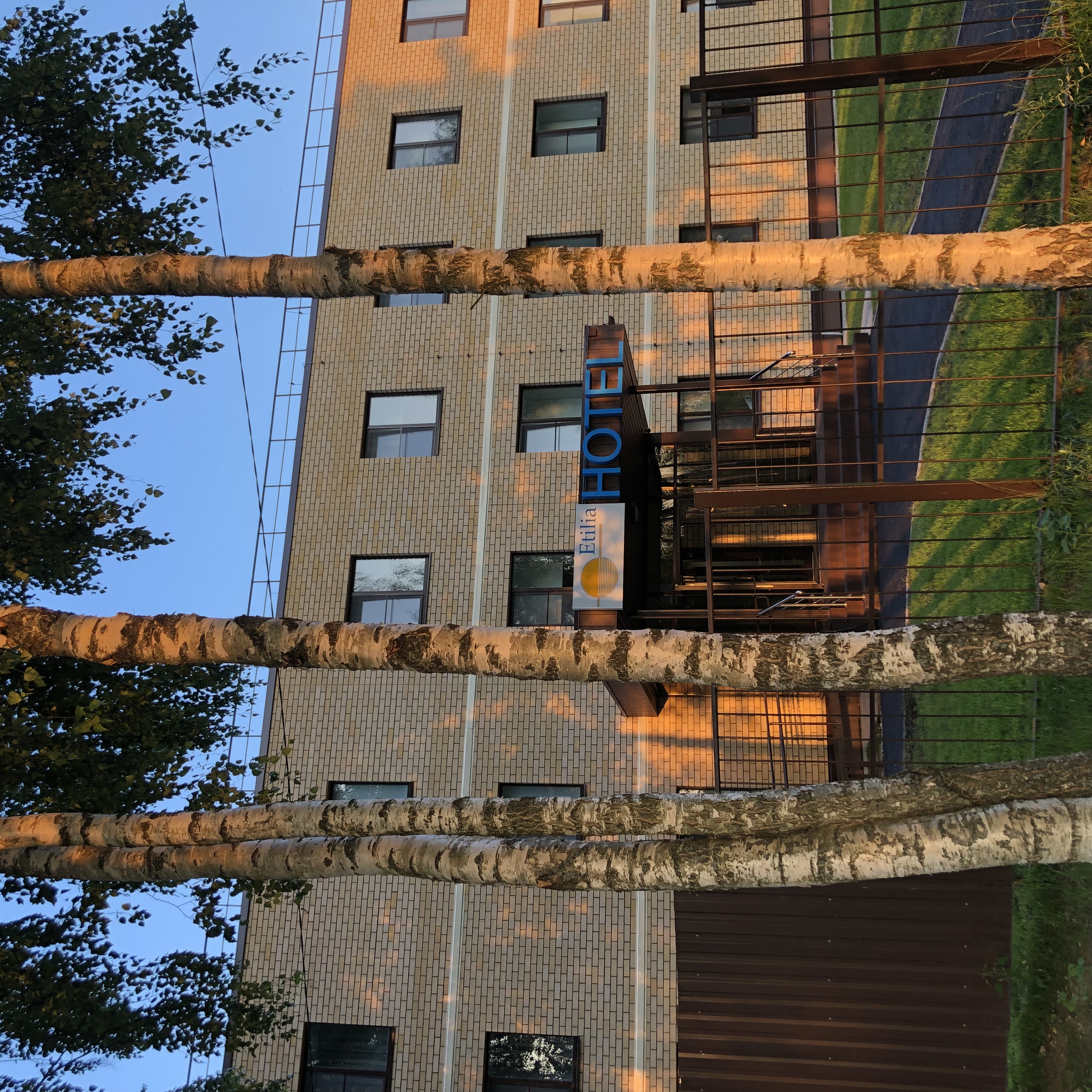 Фото Этилия