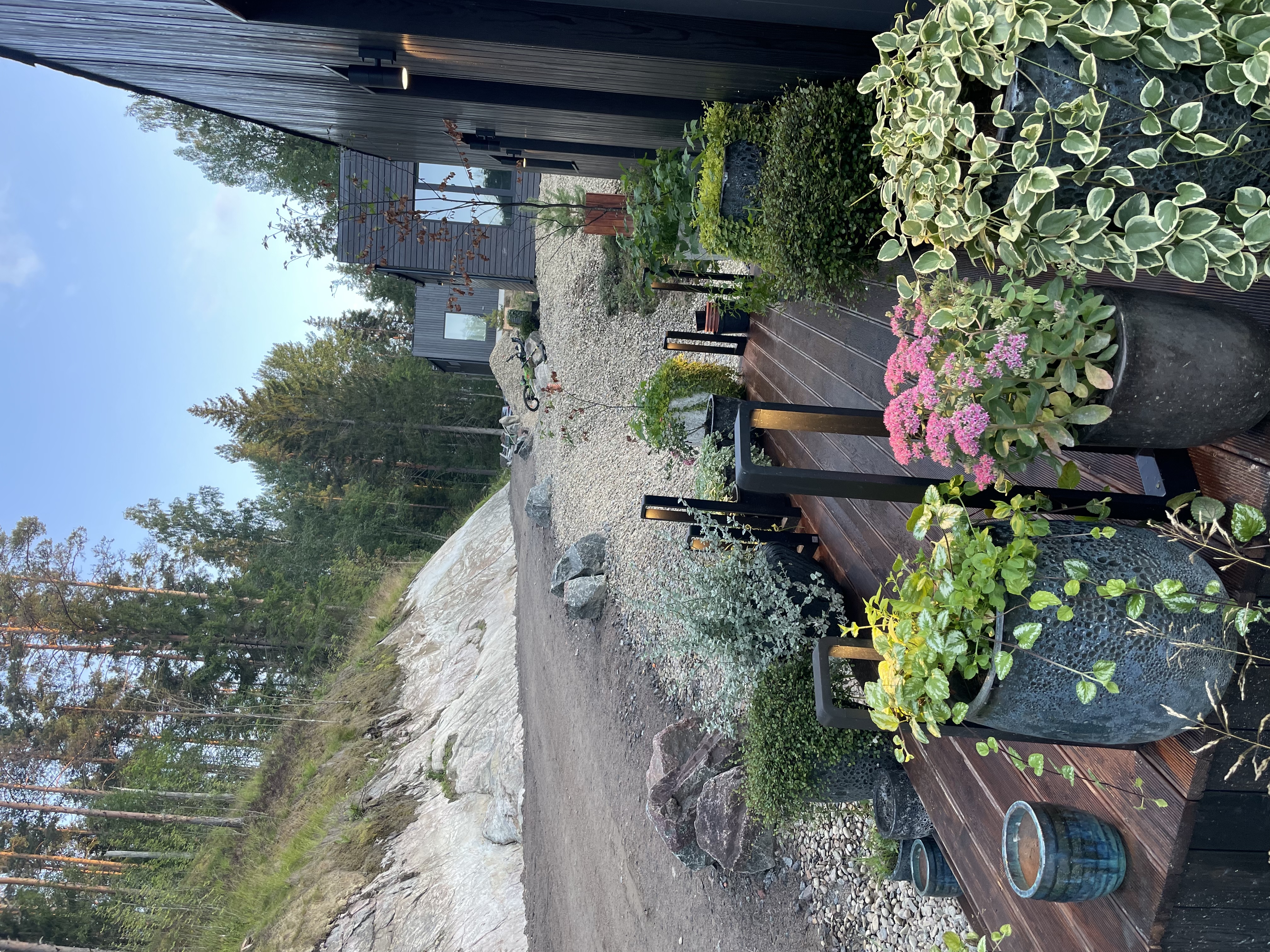 Фото Шелест