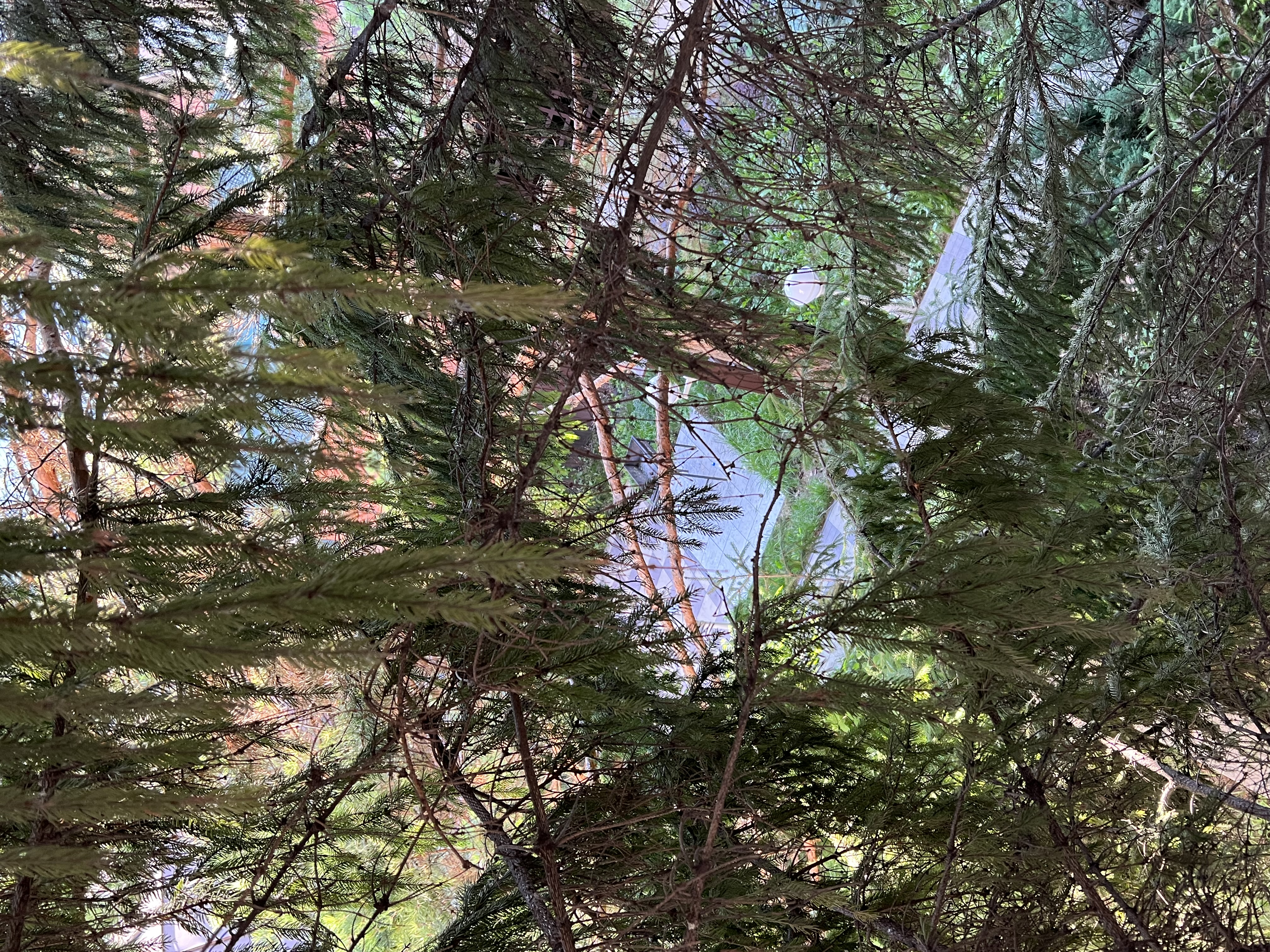 Фото Ваш Симбирск