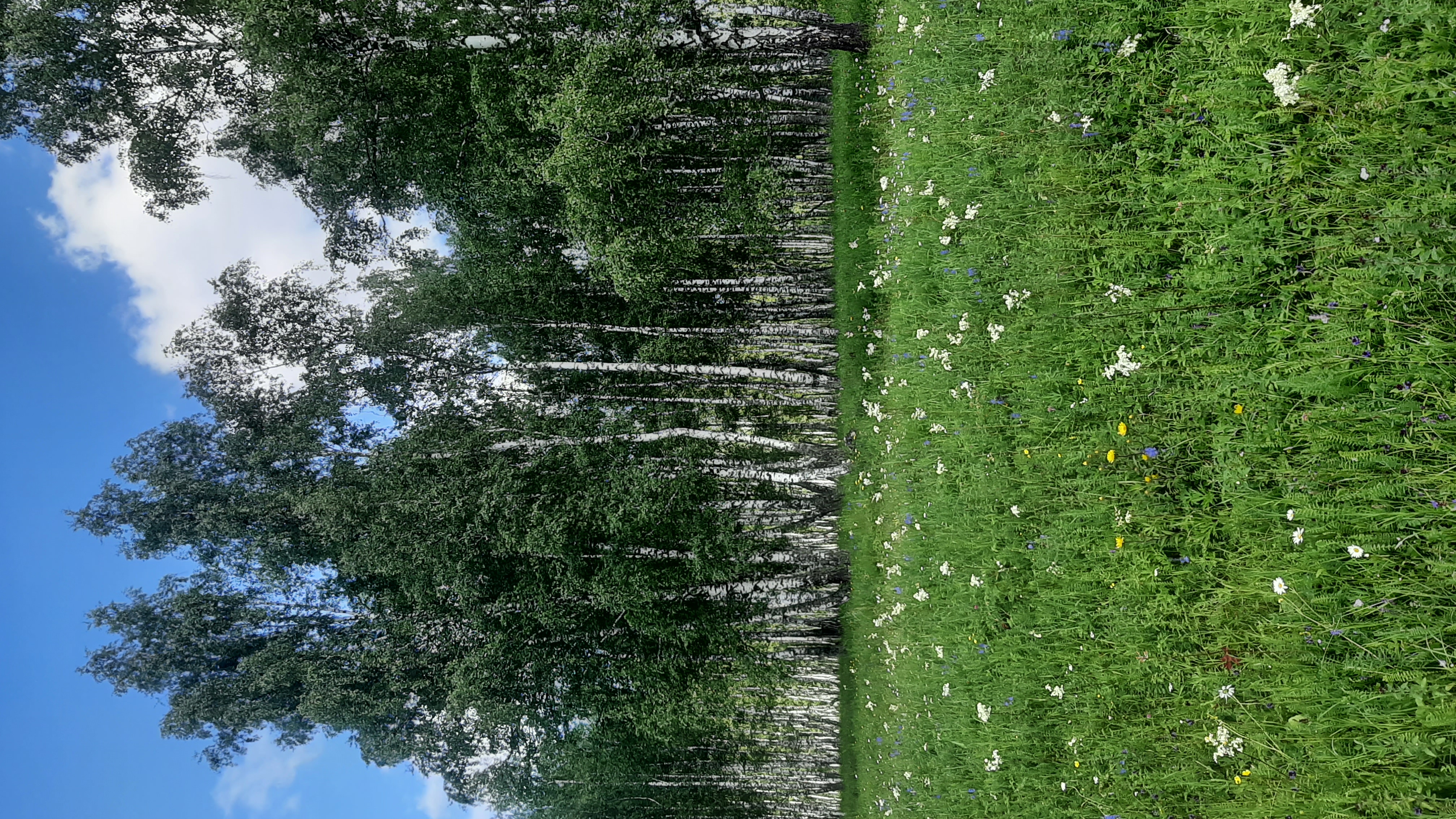 Фото Шайтан Кудей