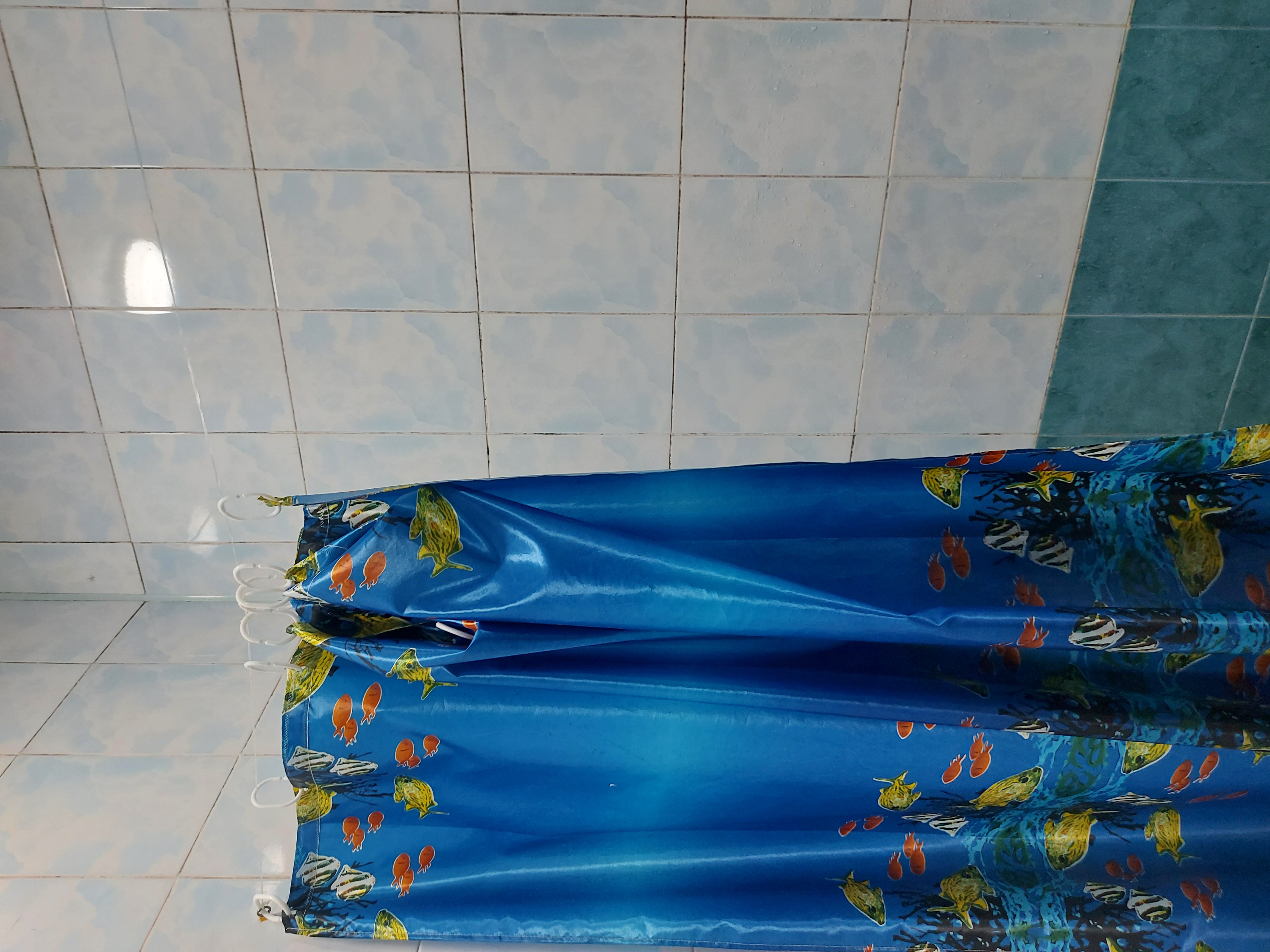 Фото Фрегат