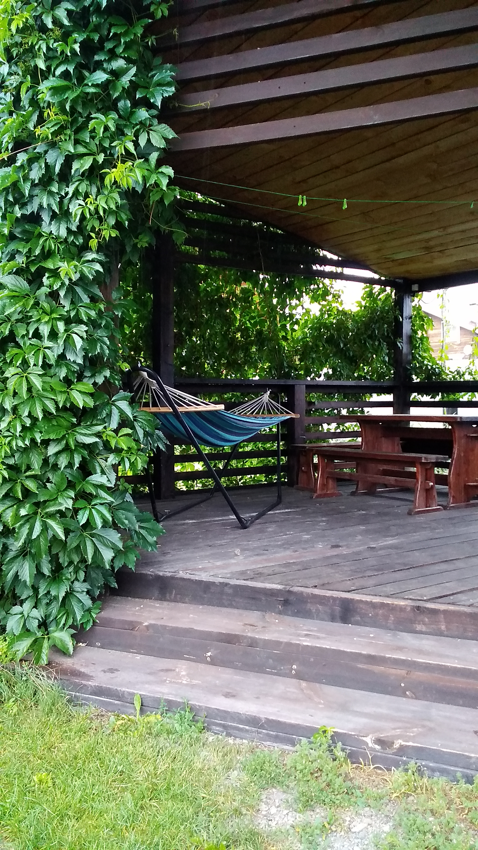 Фото Люминица