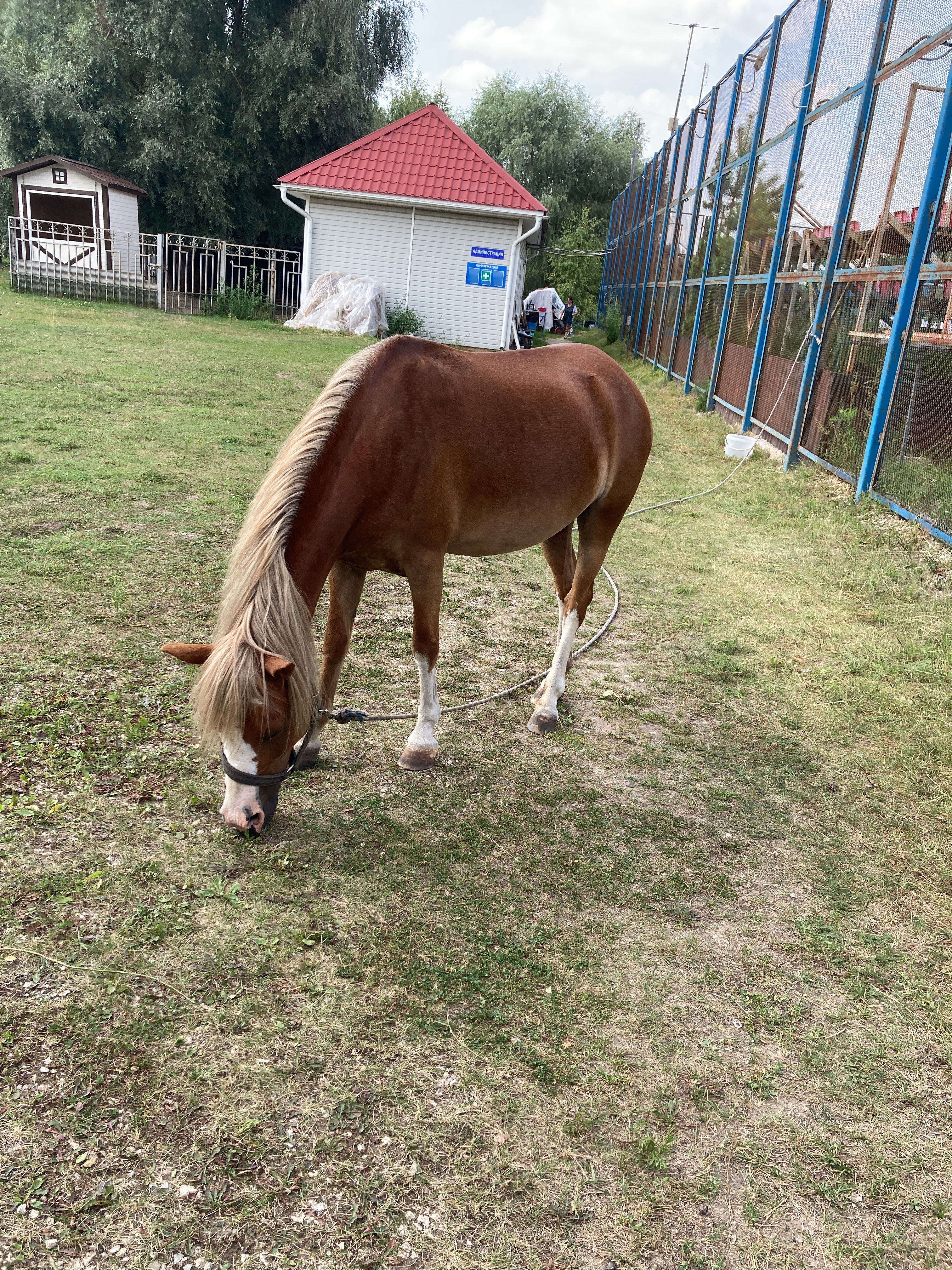 Фото Кукушка