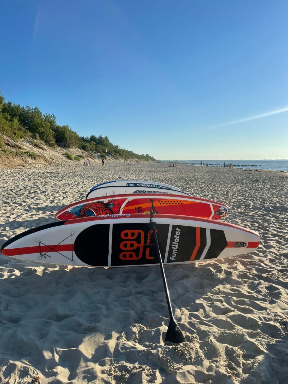 Фото Малина