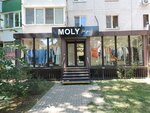 Moly for you (ulitsa Tyulyayeva, 11) ، متجر ملابس