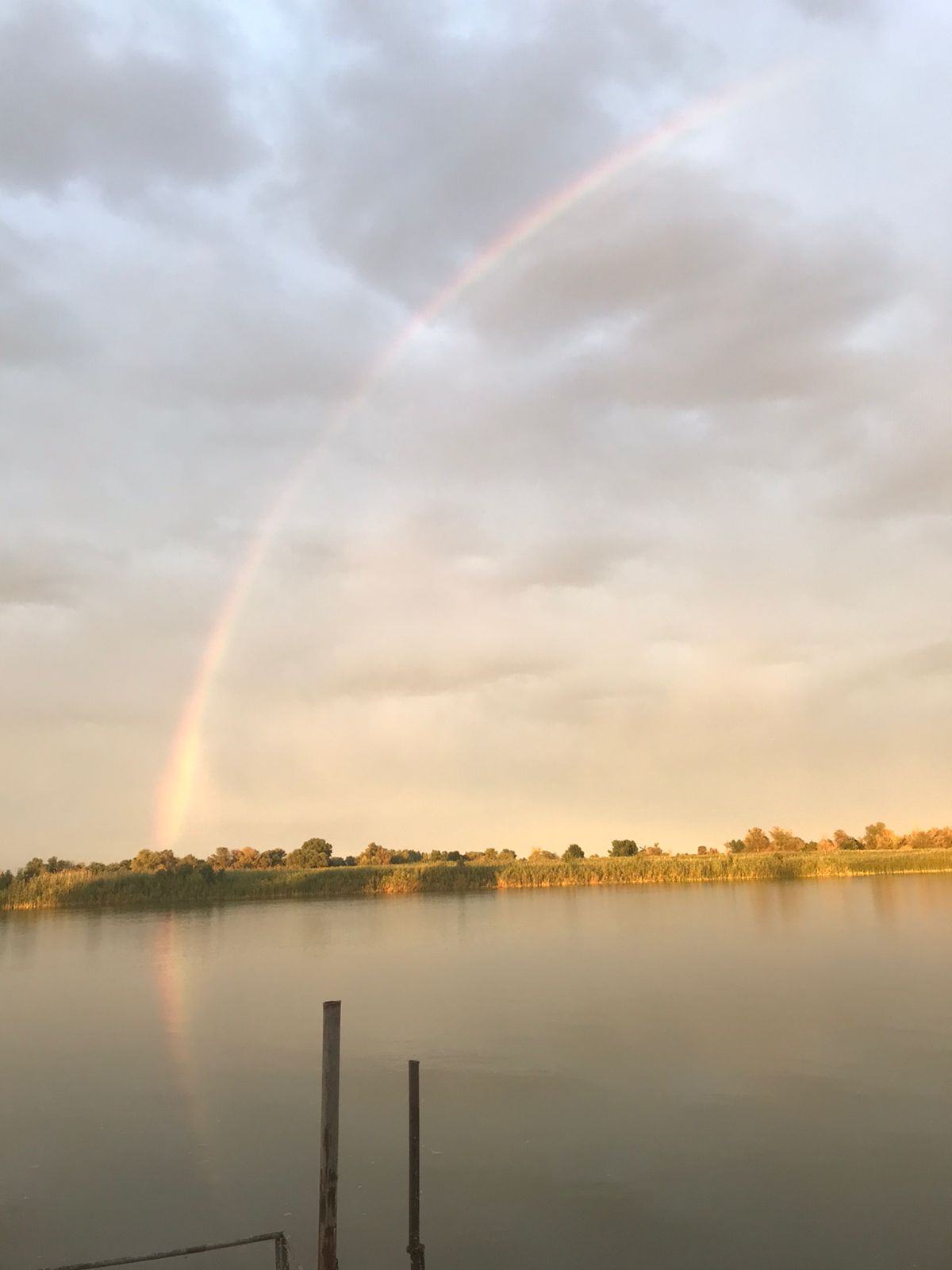 Фото Олигри Fish