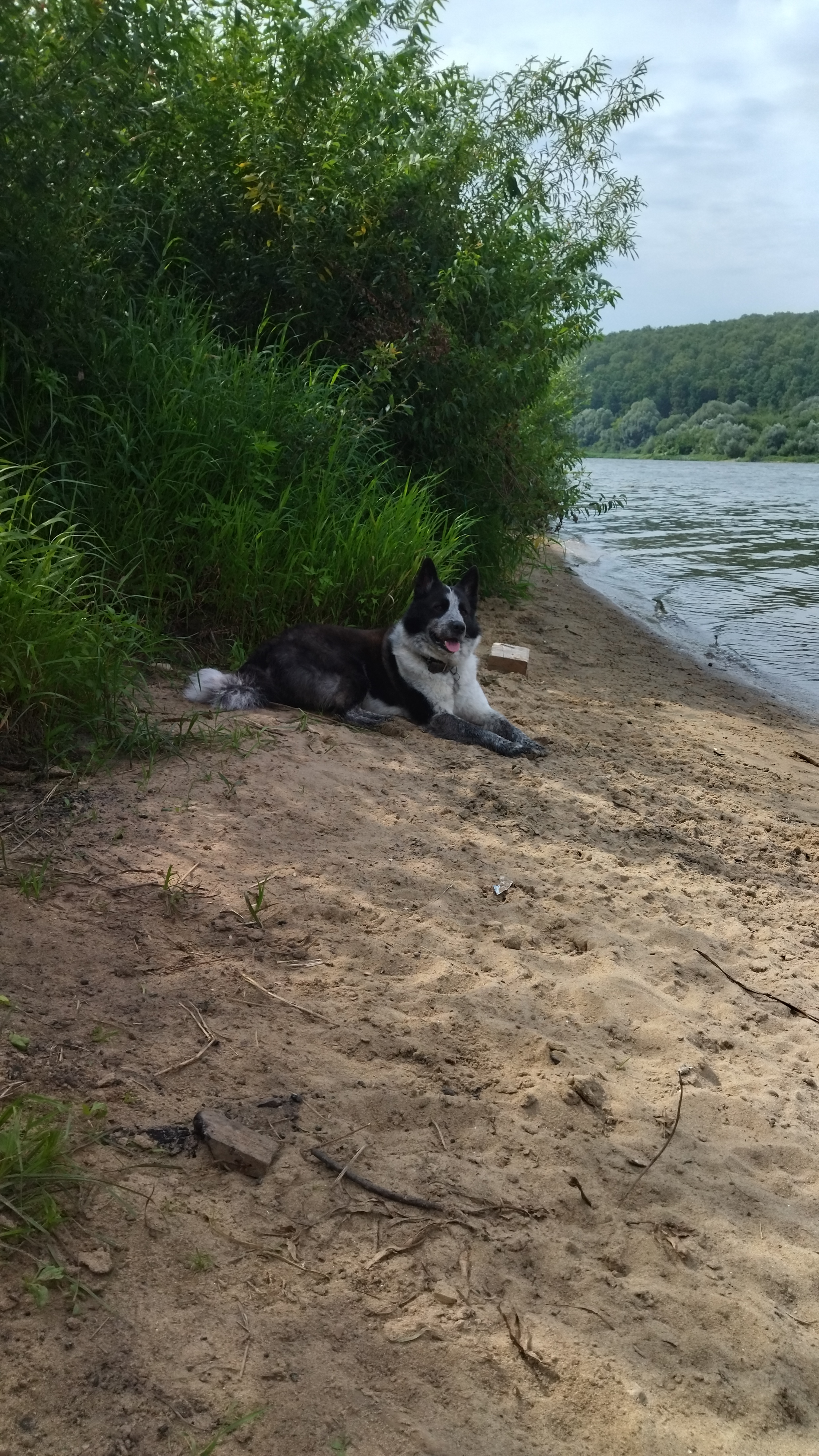 Фото Премьера