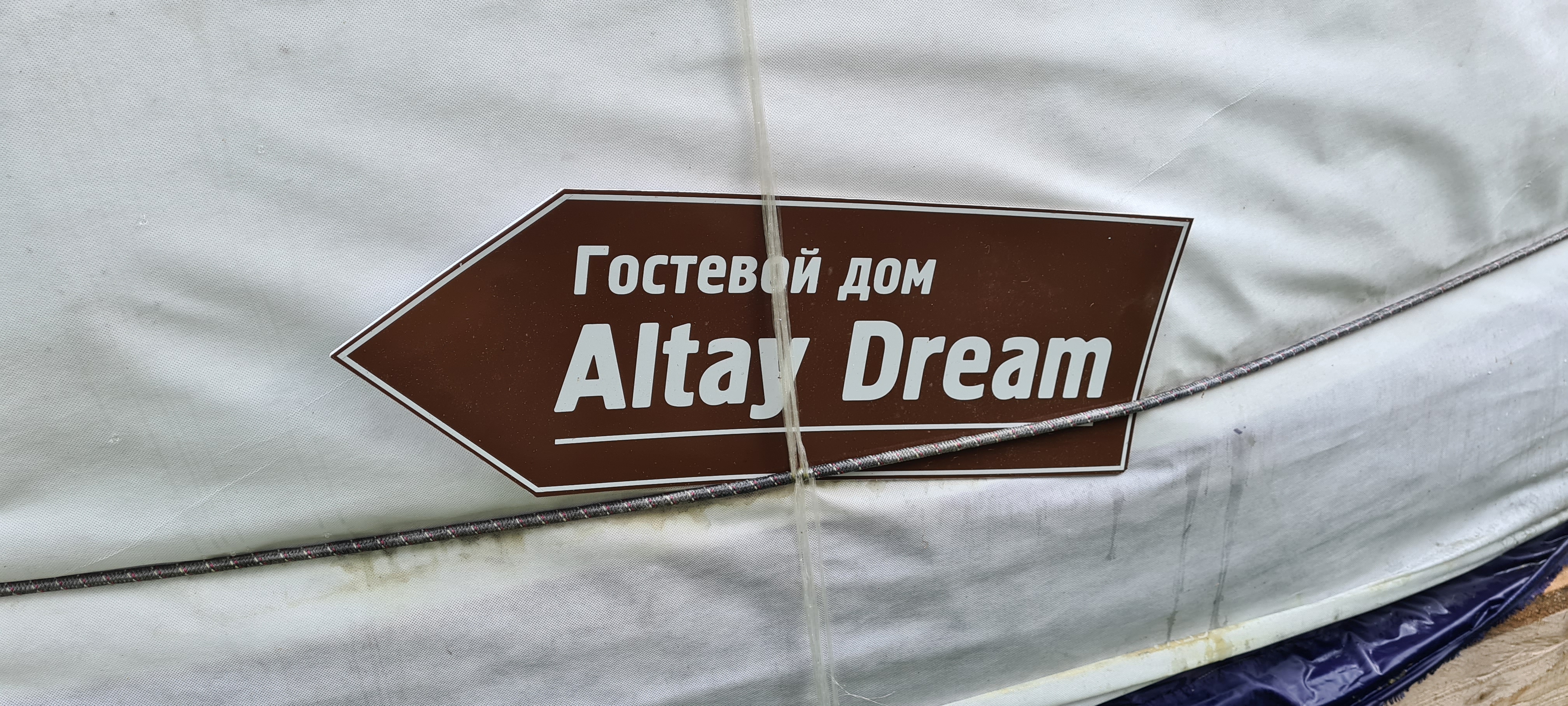 Фото Altay Dream