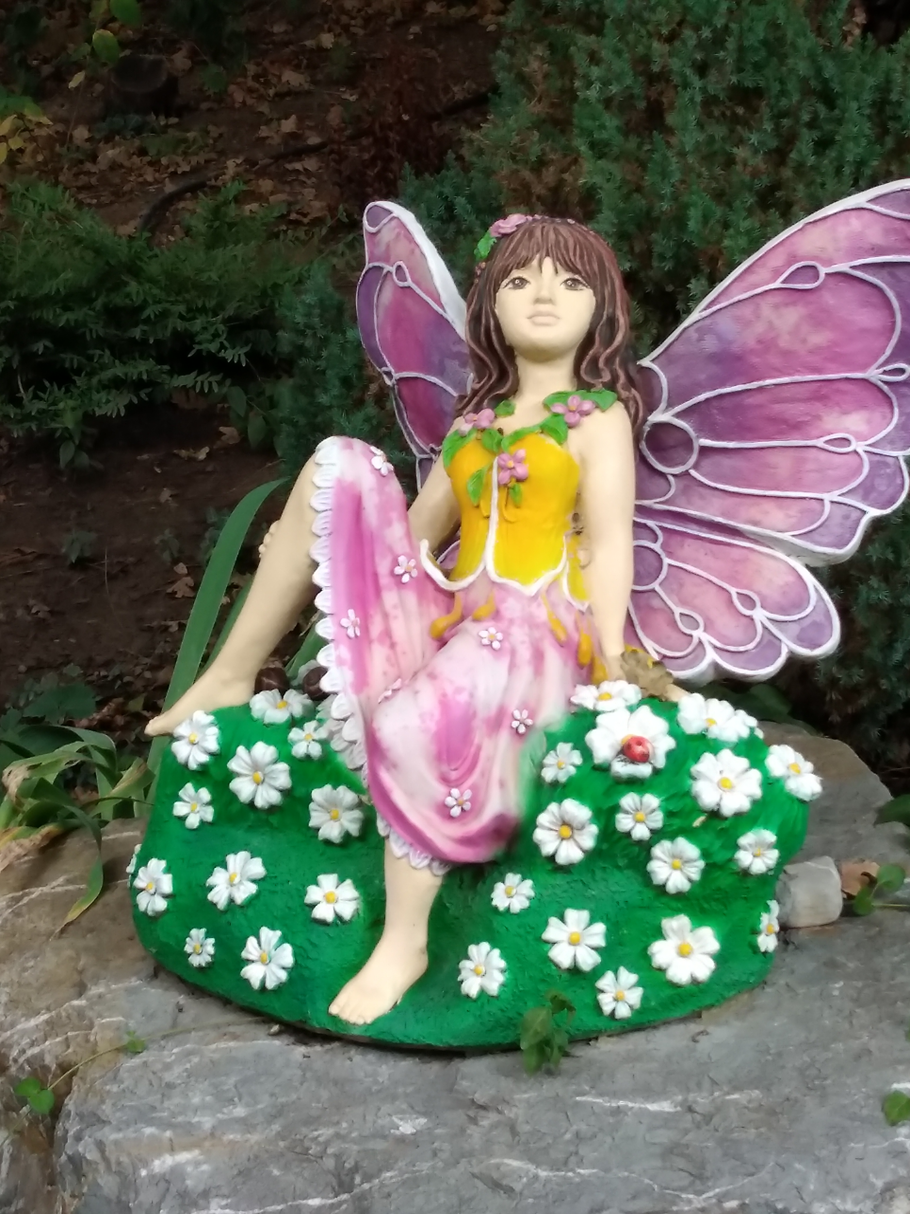 Фото Лесная сказка