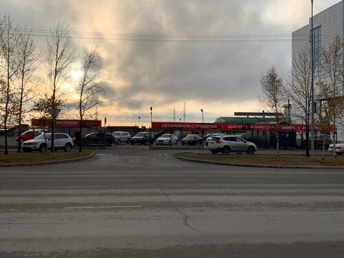 Кәсіби ресейлік минет