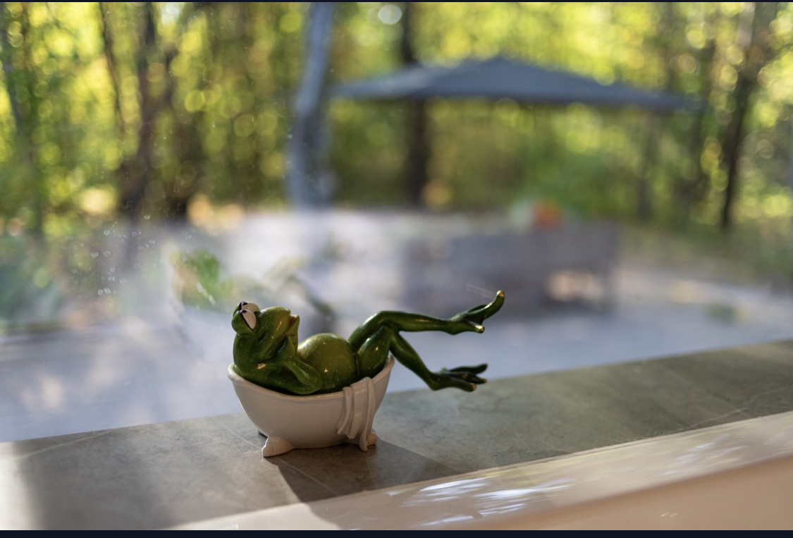 Фото Лес Эко Bилладж