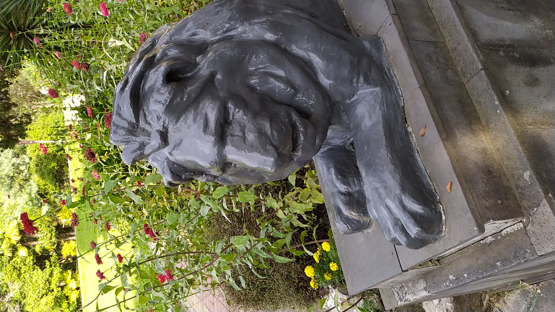 Фото Золотая миля