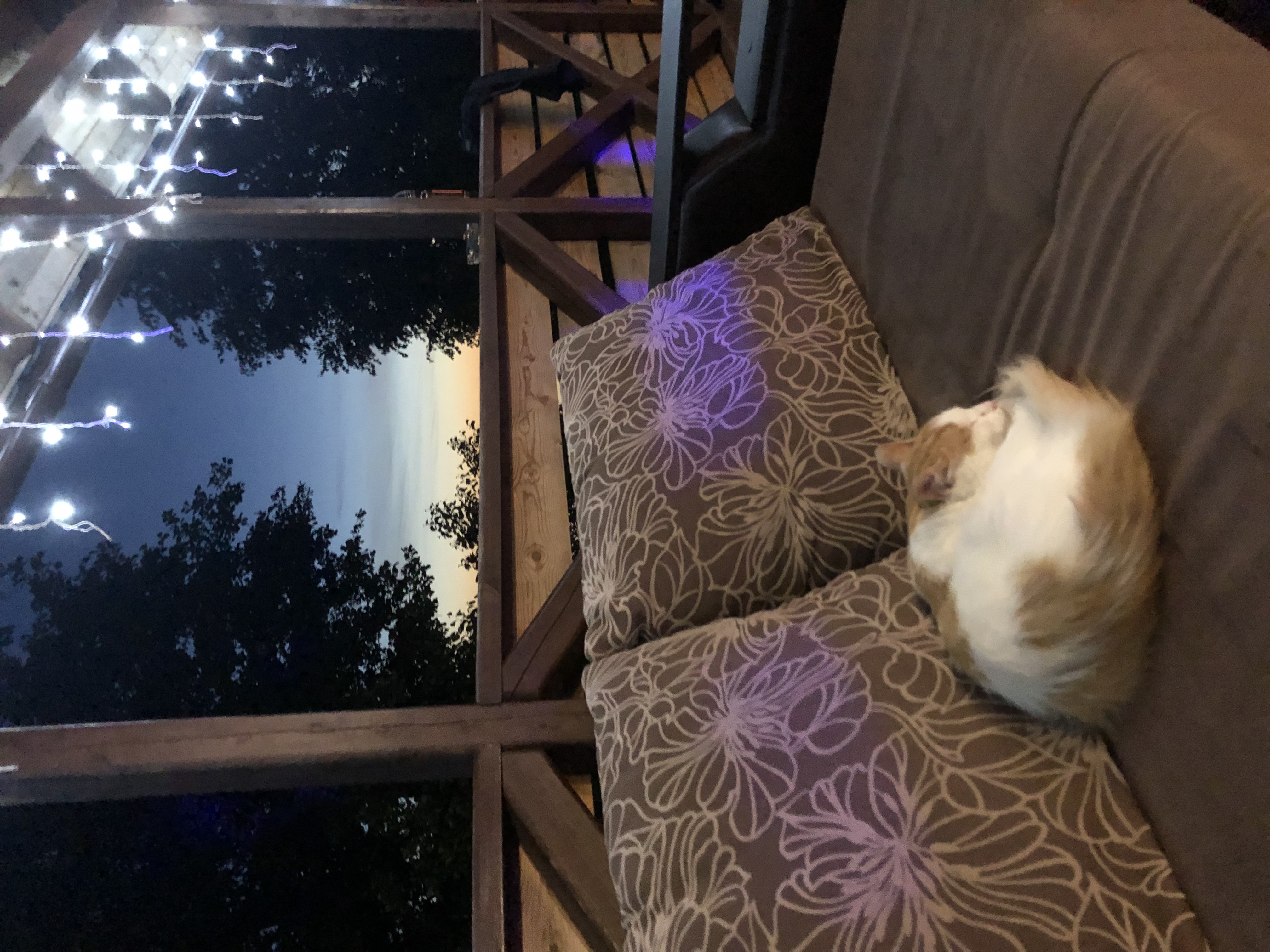 Фото Лесная гавань