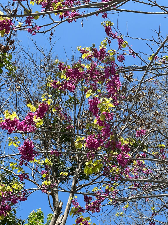 Фото 1883 Boutique Hotel