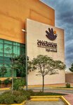 Credence High School (3, 43A Street, Al Quoz 4, Al Qouz, Hadaeq Mohammed Bin Rashid, Dubai), school