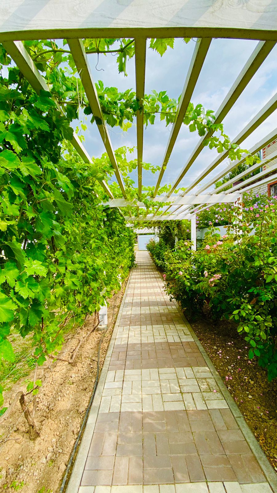 Фото Южные ночи