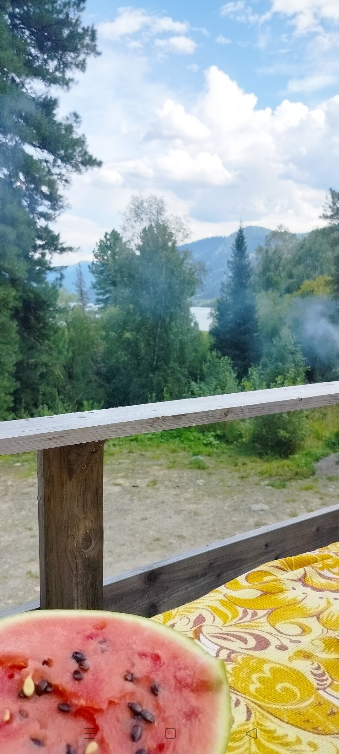 Фото Кедровый берег