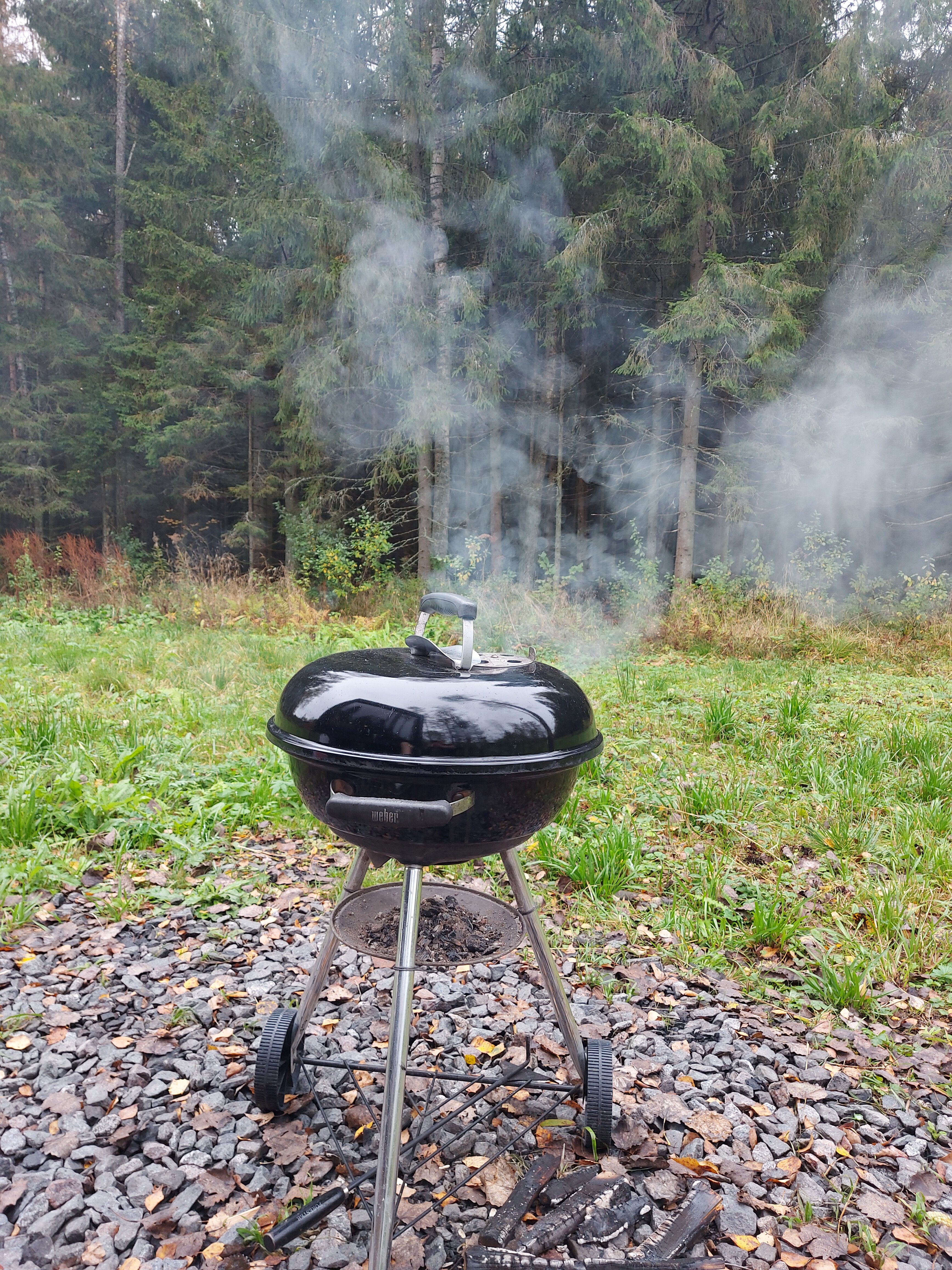 Фото Д Дача