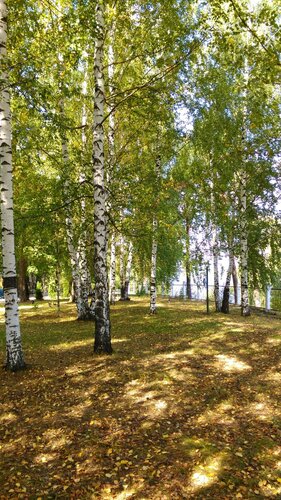 Гостиница Спа-Волга в Ивановской области