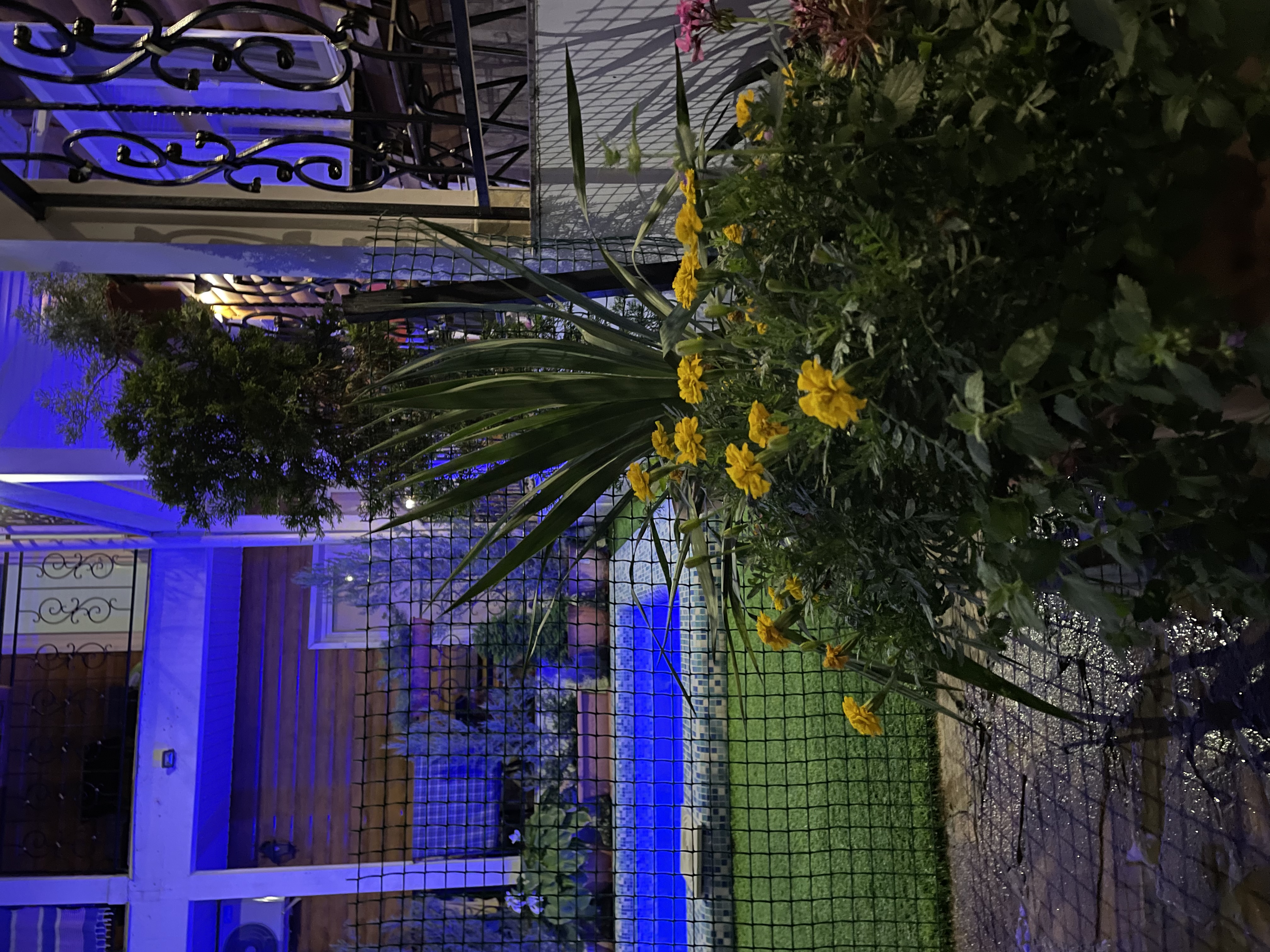 Фото Елизавета