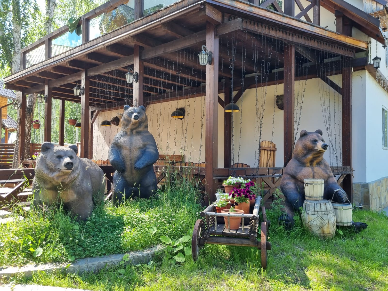 Фото Медвежий угол