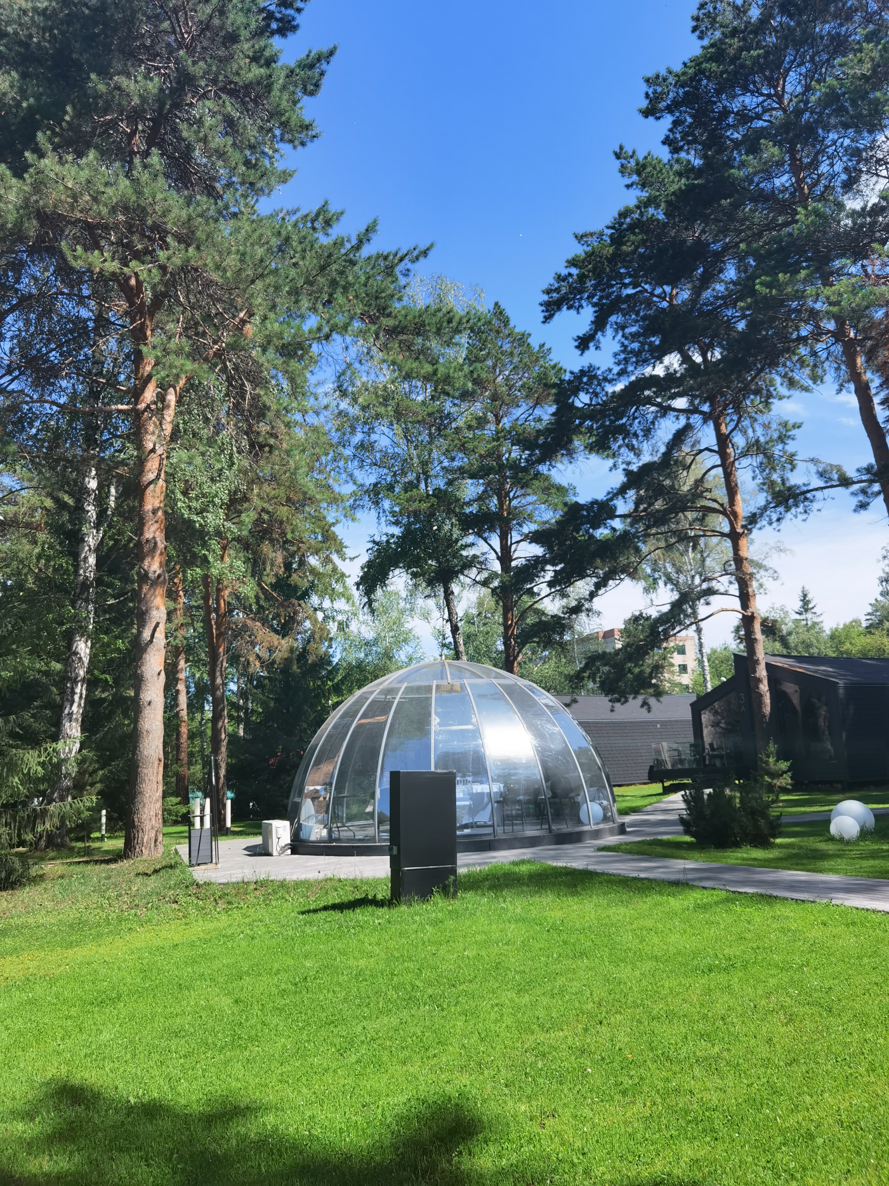 Фото Сосновый бор