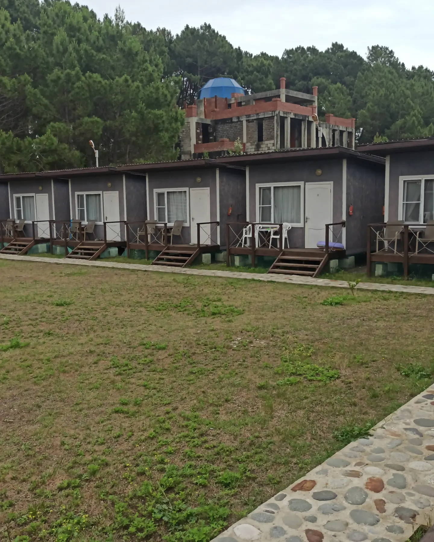 Фото Forest Club