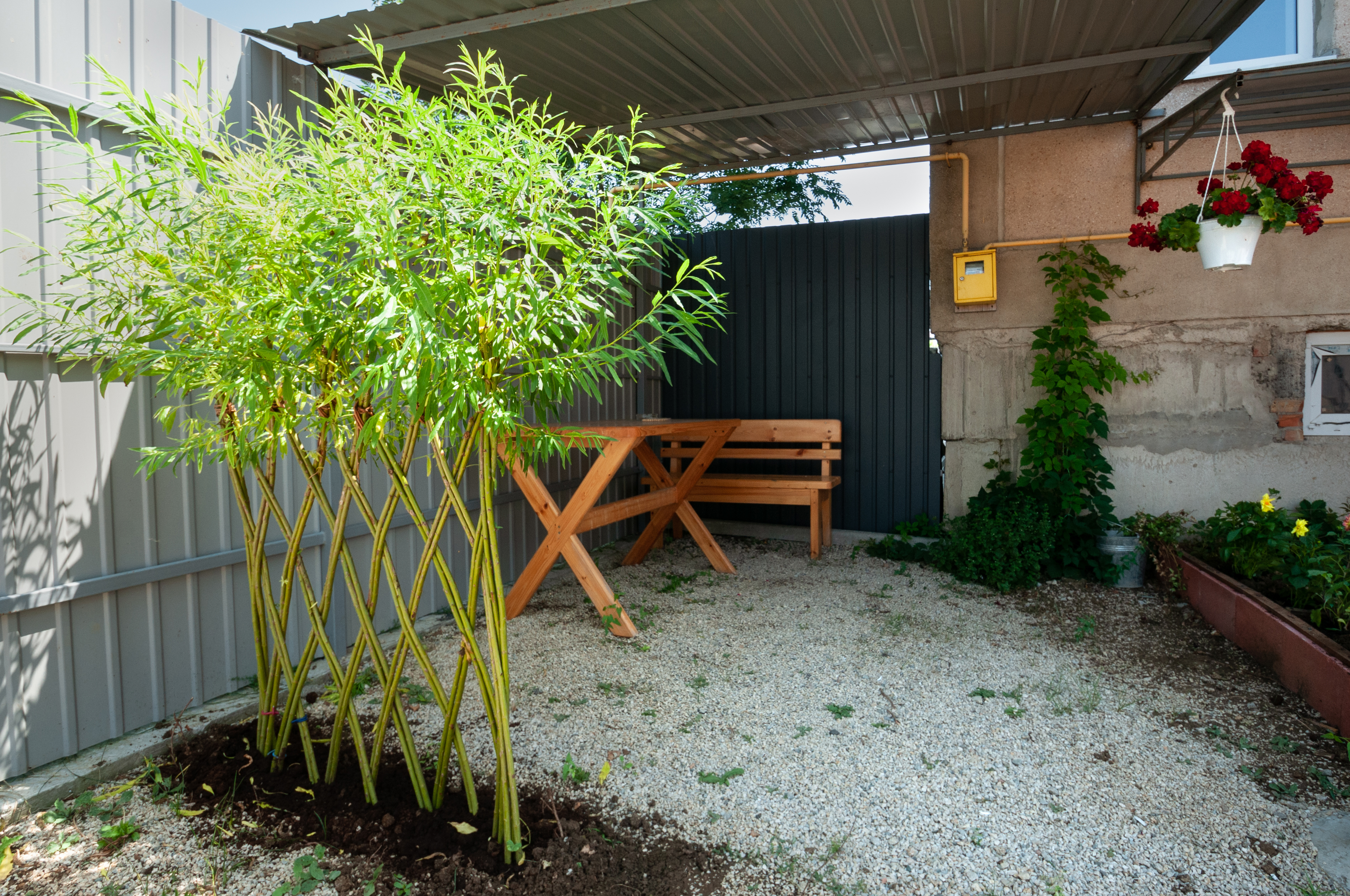 Фото Гостевой дом в Приморском