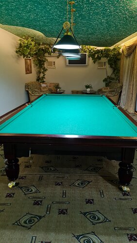 Porno aktrisaning oxshashligi