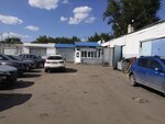 Avto-Krays (Krasniy Khimik Street, 6А), lubricantes