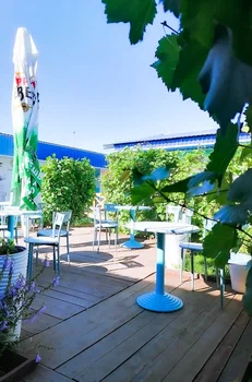 Фото Лазурное Яровое