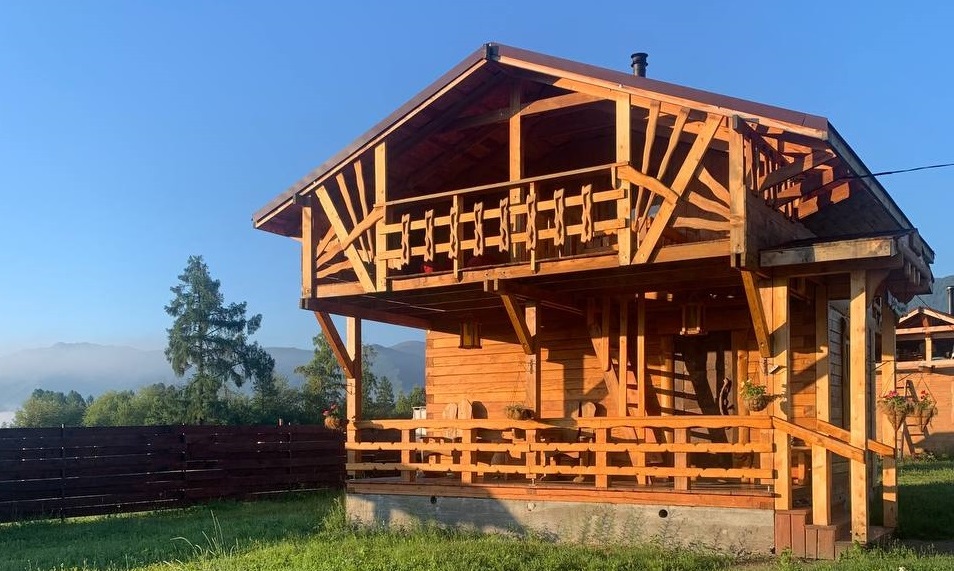 Фото Медуница