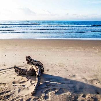 Фото Fleur de Lys Resort & SPA Long Hai