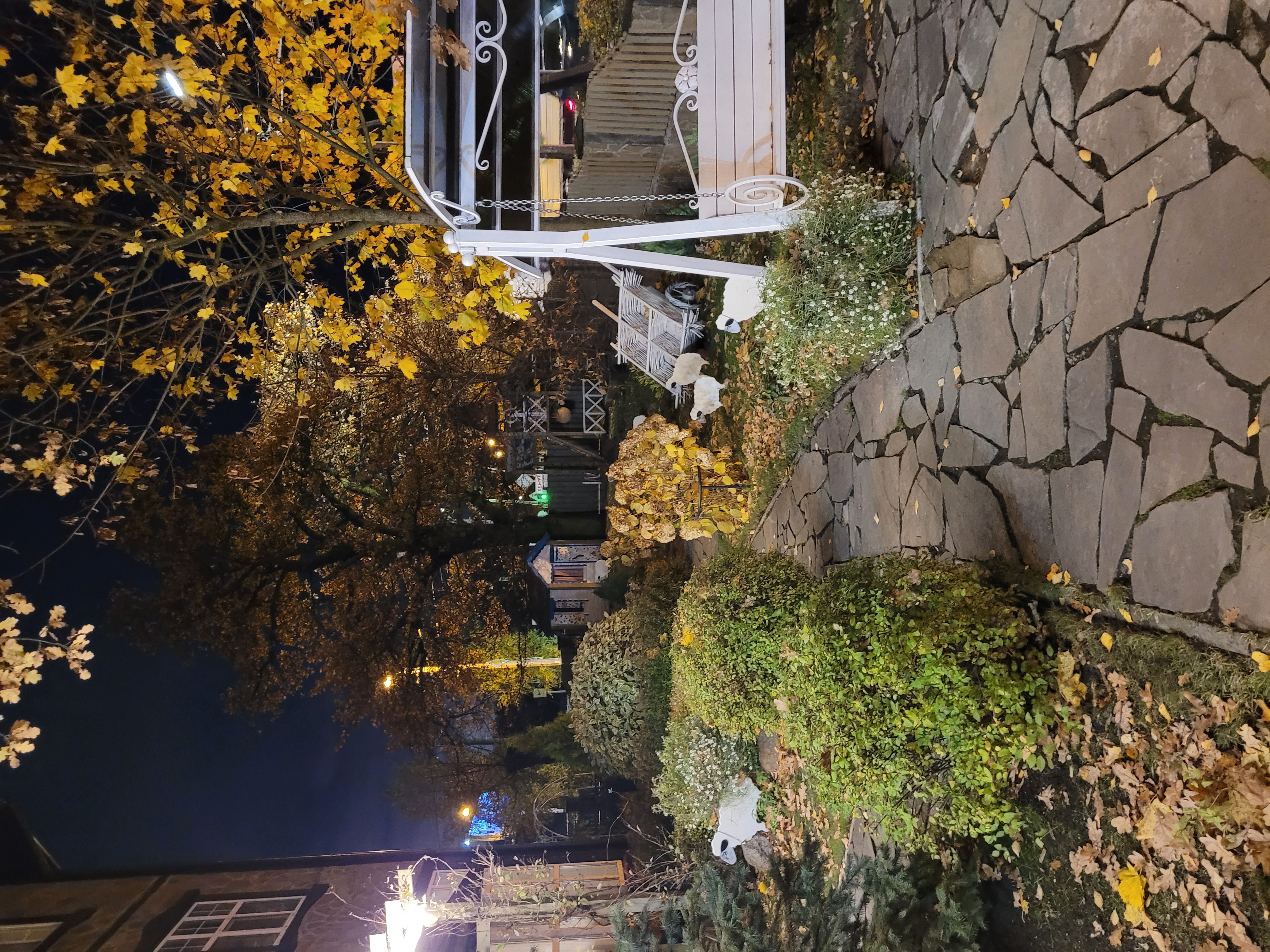 Фото Ближние Дубки