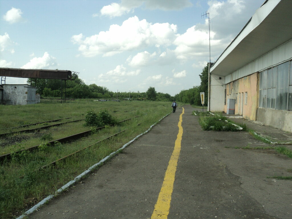 Автобусные перевозки Автовокзал Сосновка, Тамбовская область, фото