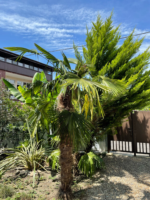 Фото Vardane Resort