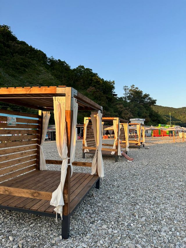 Фото Пальма