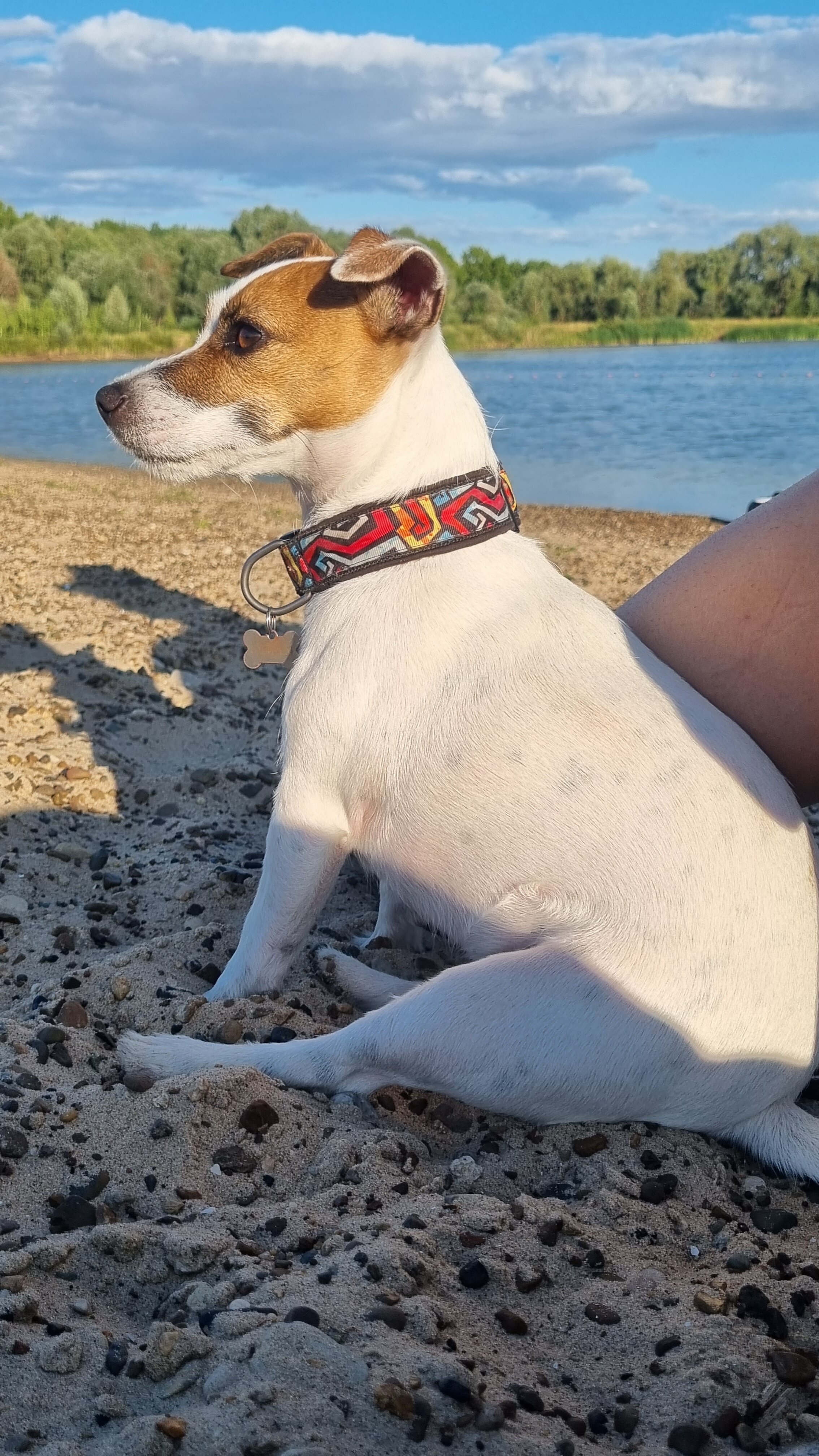 Фото Камское house