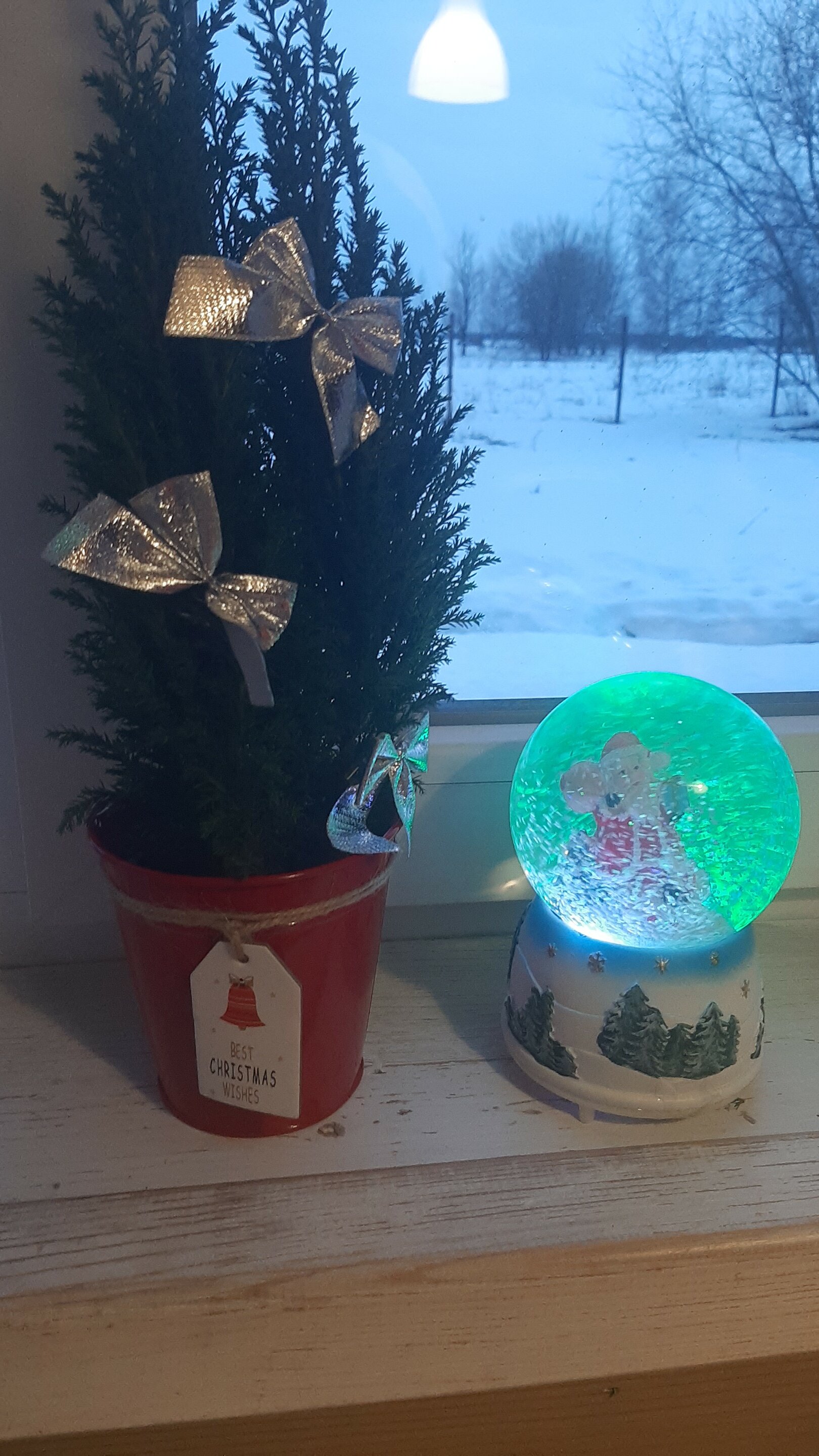 Фото В гости к Есенину