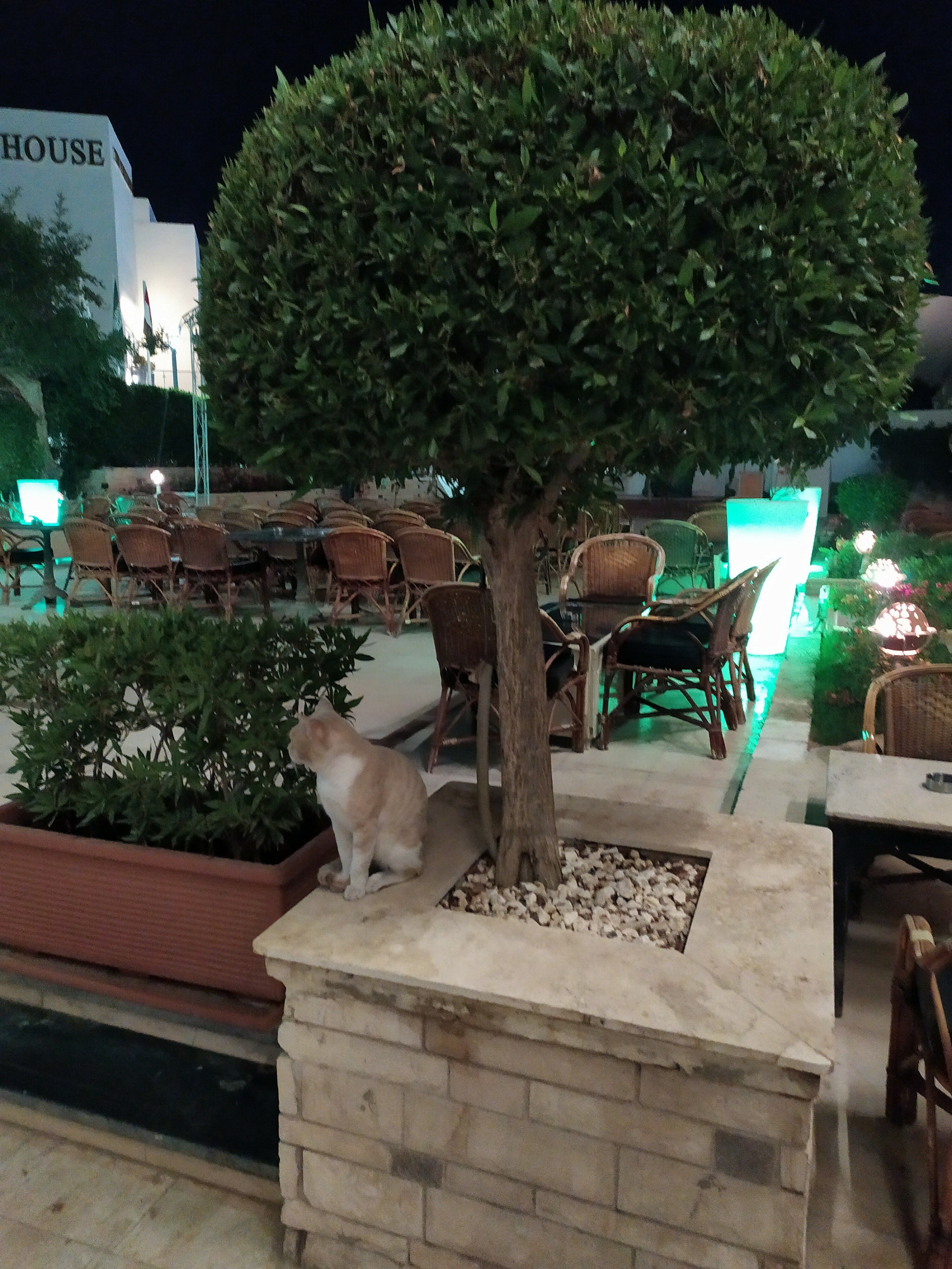 Фото Cataract Layalina Hotel