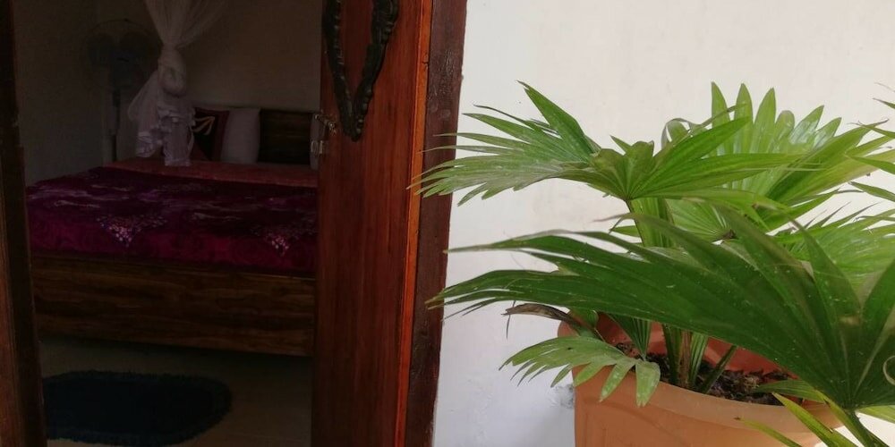 Фото Ella Forest Eco View