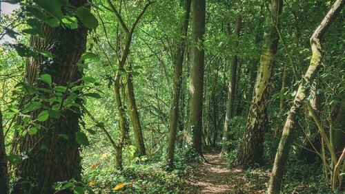 Гостиница De Kastanjefabriek в Гелдерланде