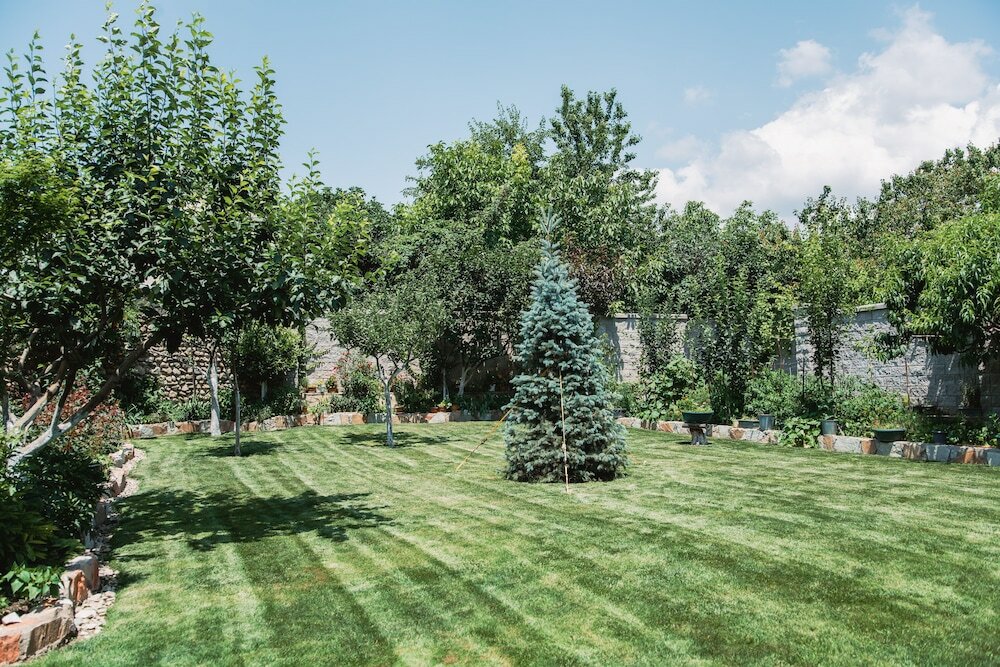 Фото My Georgian village