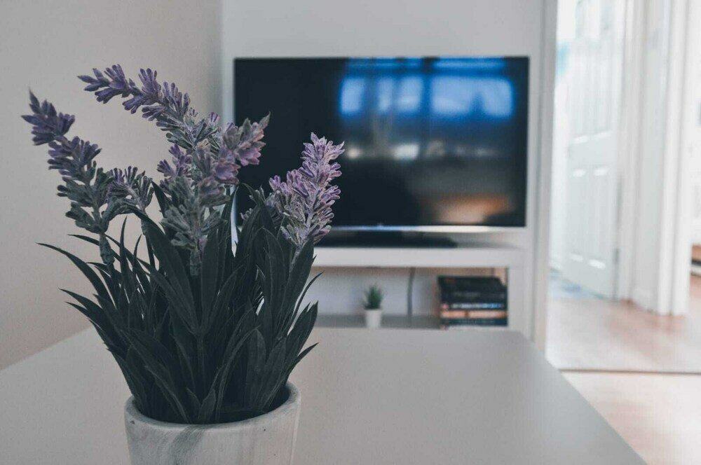 Фото The Windsor Garden Apartment